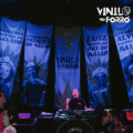 Vinyls